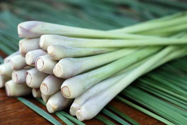 4 lợi ích sức khỏe của củ sả và cách sử dụng